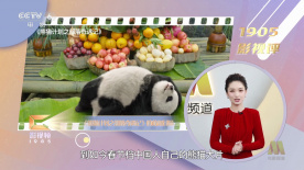 五月婷综合网